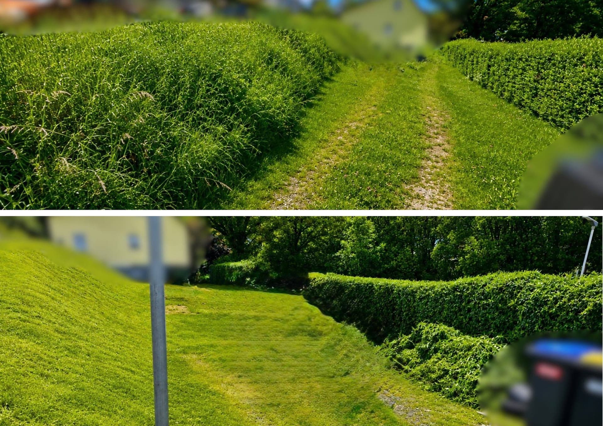 Haus & Gartenservice Bild 1