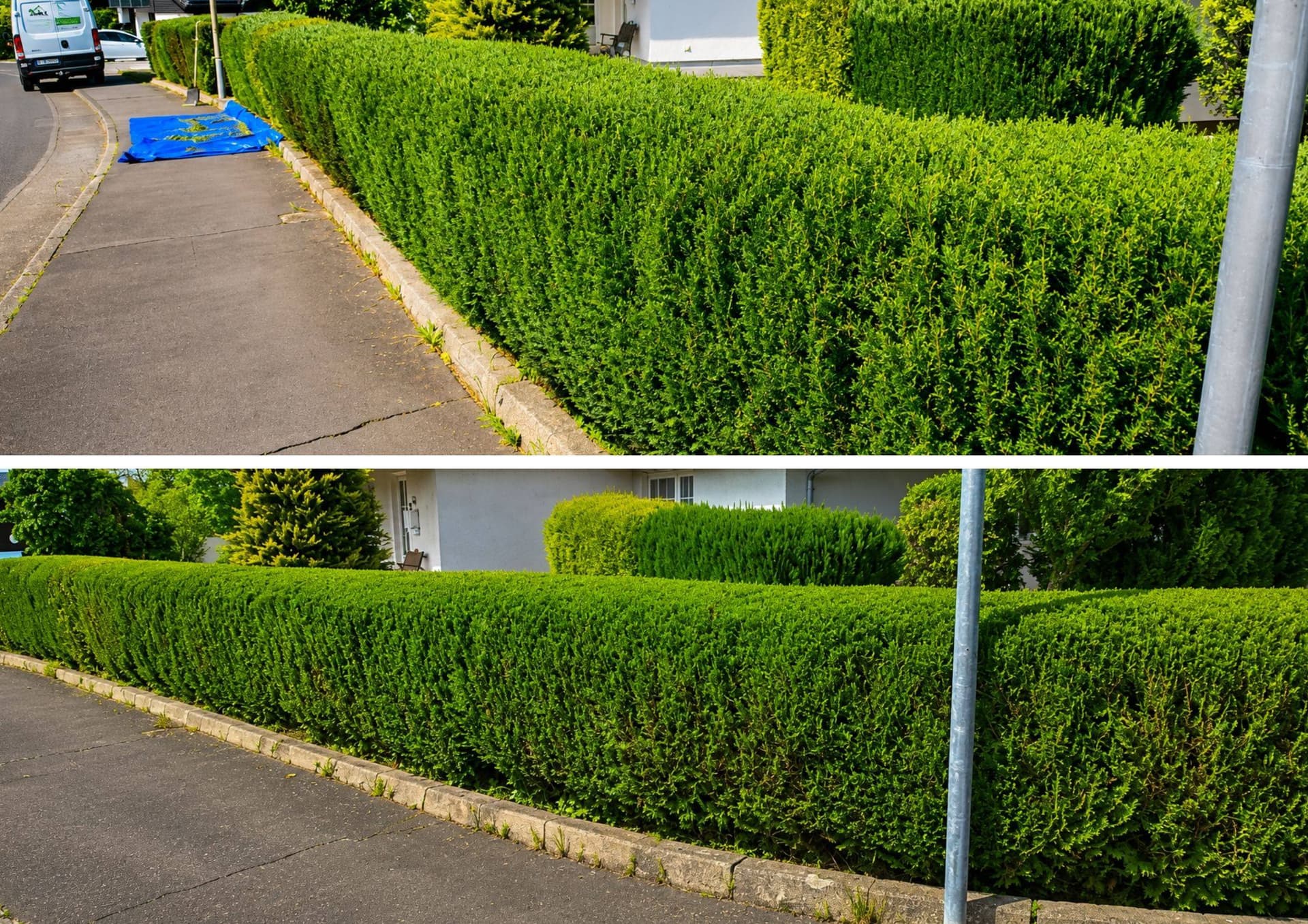 Haus & Gartenservice Bild 5