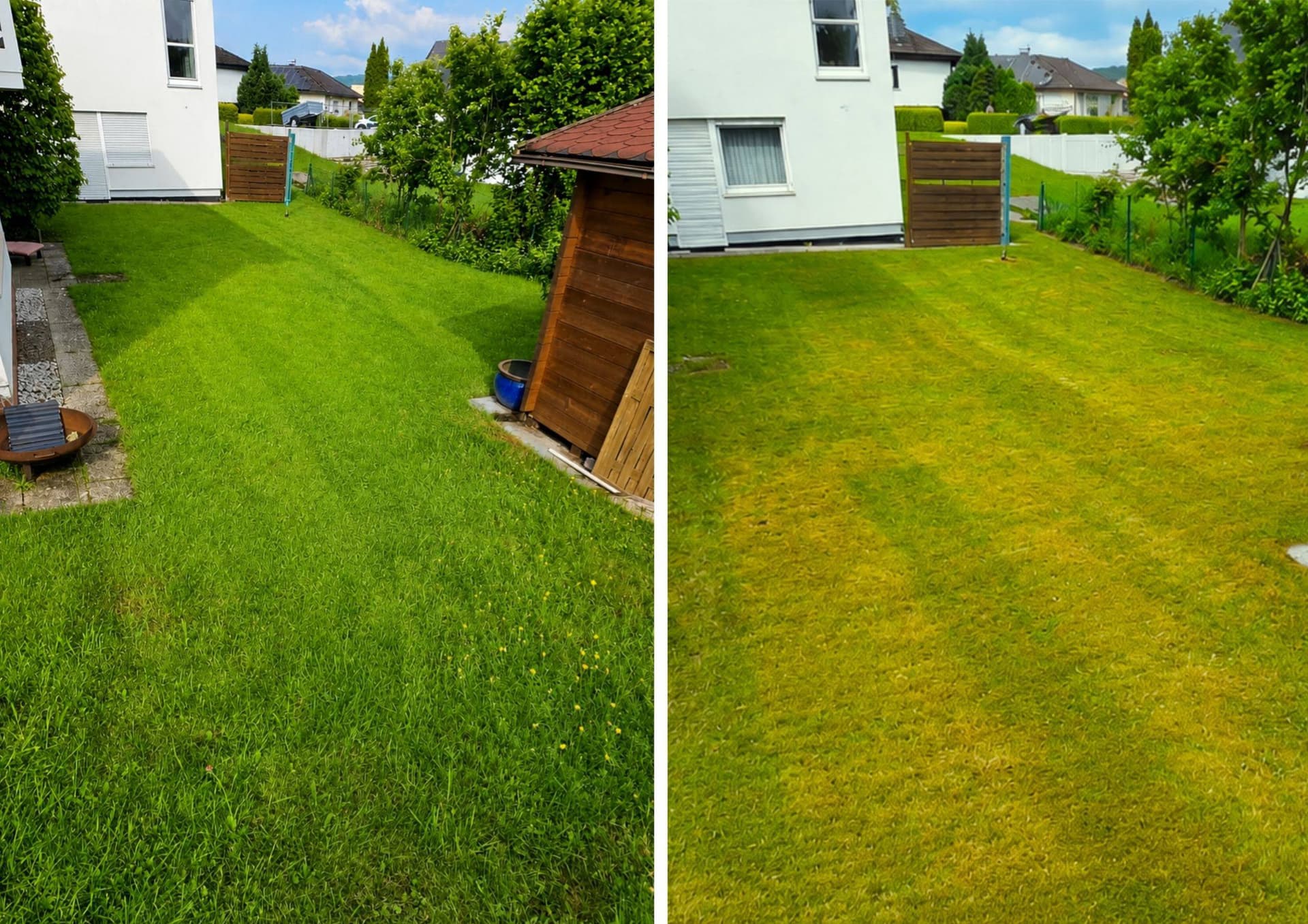 Haus & Gartenservice Bild 9